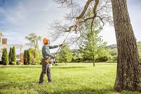 How Our Tree Care Process Works  in  Chetek, WI