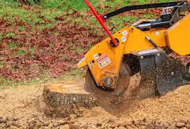 Best Commercial Tree Services  in Chetek, WI
